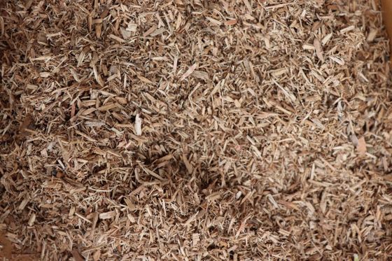 Wood Chipper Sawdust Wood Powder Flour Mill Grinding Grinder Making Machine