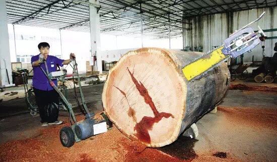 Portable wood slasher chainsaw mill,tree log cutting into shorter parts