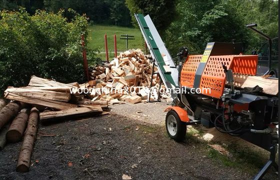 Elektryczność i wydajność E Start Benzyna Drzewa Log Splitter Procesor drewna drewna